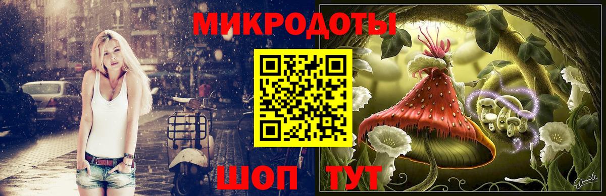 Псилоцибиновые грибы Psilocybine cubensis Димитровград